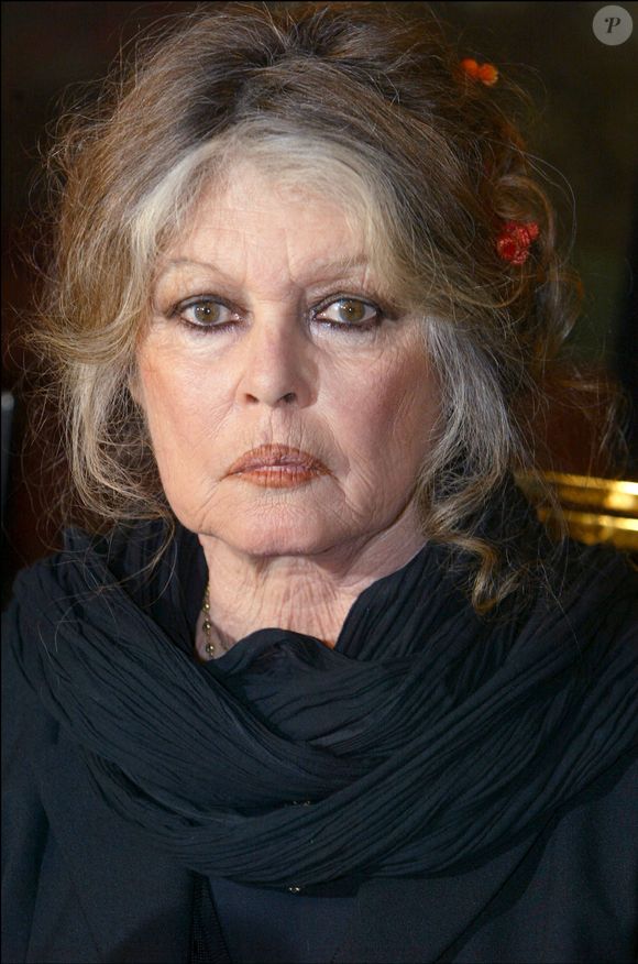 Brigitte Bardot, star du cinéma des années 60 et militante des droits des animaux, rencontre Dalil Boubakeur, chef de la communauté musulmane française, à la mosquée de Paris. Ils ont parlé de l'abattage traditionnel des moutons et de la possibilité de réduire la douleur des animaux. © Mousse/ABACA. 55907-9. Paris-France, 11 février 2004.
