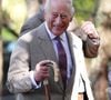 La conversation aurait eu lieu lors des préparatifs des funérailles de la princesse.

Le roi Charles III visite le parc national des Cairngorms et rencontre les personnes qui ont joué un rôle essentiel dans la maîtrise des incendies de Glenmore et d’Abernethy, qui ont ravagé plus de 3 300 hectares de terres dans les Highlands écossais, au Royaume-Uni, le 16 septembre 2026. 
Julien Burton / Bestimage