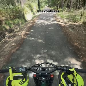 elle a le luxe de s'offrir un petit tour en forêt !

Story de Laure Manaudou du 12 juin 2025.
