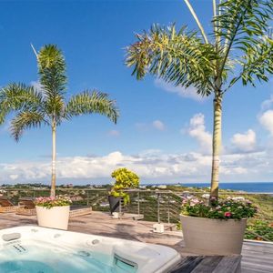 La maison de 500 m² comprend huit chambres, une cuisine professionnelle, une salle de cinéma, une salle de sport, un jacuzzi et une piscine à débordement.

Villa Jade à Saint-Barth, Instagram