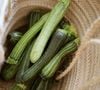 La courgette souffre énormément des hausses de température à cause de sa forte teneur en eau.