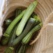 Comment bien conserver ses courgettes pour qu’elles ne succombent pas à la chaleur ?
