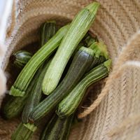 Comment bien conserver ses courgettes pour qu’elles ne succombent pas à la chaleur ?