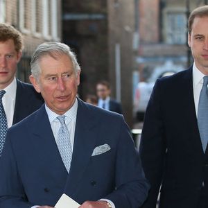 Le prince de Galles et ses fils, le duc de Cambridge et le prince Harry, arrivent à Lancaster House pour assister à la Conférence sur le commerce illégal d'espèces sauvages, dans le centre de Londres, au Royaume-Uni, le jeudi 13 février 2014 Photo : Alastair Grant/PA Wire/ABACAPRESS.COM