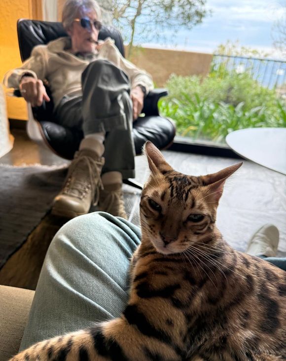 "Deux fauves sur cette photos", indique son fils en légende, lui qui, au moment de prendre cette photo, avait sur ses genoux un adorable chat.

Thomas Dutronc dévoile une photo avec son père Jacques prise en Corse. Photo publiée sur le compte Instagram de Thomas Dutronc le 14 mars 2025.
