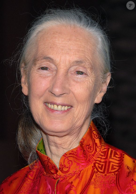 Jane Goodall, célèbre primatologue et défenseur de l'environnement, est décédée à l'âge de 91 ans le 1er octobre 2025 de causes naturelles alors qu'elle se trouvait en Californie dans le cadre d'une tournée de conférences aux États-Unis.--------------------------------------------------
6 octobre 2006 Los Angeles, Ca.
Jane Goodall
Hommage au Festival du film d'aventure Jules Verne
au Shrine Auditorium
 Photo by AFF/ABACAPRESS.COM