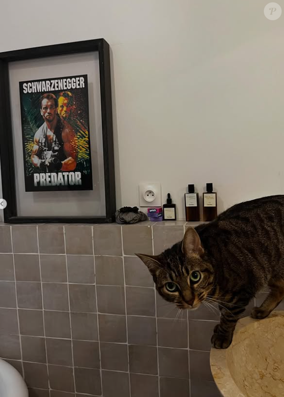 Il y a aussi une salle de bain bien sûr, où trône un poster encadré d'Arnold Schwarzenegger issu du film Predator

Etienne Carbonnier donne un aperçu de son appartement.