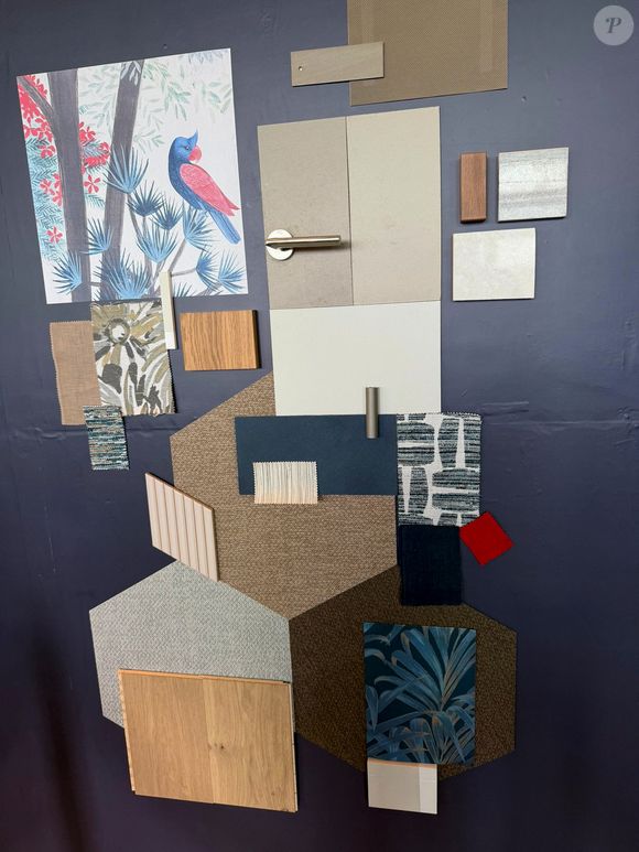 Exclusif - Stéphane Plaza, en voyage d'affaire pour trouver de nouveaux franchisés à Île Maurice, a reçu une invitation du président Emmanuel Macron à l'occasion de l'inauguration du nouveau site de l'Ambassade de France à Maurice à l'immeuble "The Workplace", Moka-Telfair, le vendredi 21 novembre 2025. © Bestimage