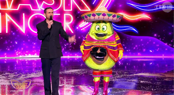 L'avocat dans Mask Singer - capture d'écran TF1