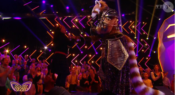 A savoir que le Panda Roux n'a pas participé à "Danse avec les stars". Il a par la même occasion indiqué qu'il n'est pas Lola Dubini. 


Le Panda Roux de Mask Singer, capture d'écran TF1