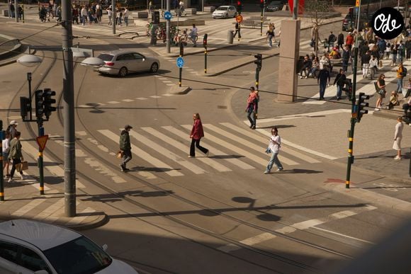 Ce réflexe est associé à des comportements dits "prosociaux", fondés sur l’empathie et le respect des règles collectives.

Mikael Backvall / Unsplash