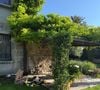 D'autres astuces végétales simples permettent, elles, de bloquer stratégiquement les accès de la maison.