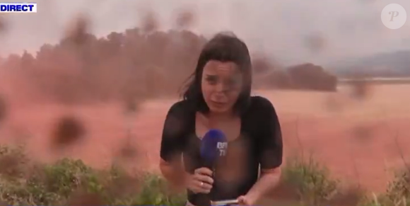 Une journaliste de BFM TV couvrait les incendies dans l'Hérault et l'Aude

Incendies dans l'Hérault et l'Aude : une journaliste interrompue en plein direct par un pompier en colère ©BFM TV