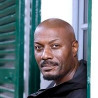 Harry Roselmack n’est pas qu’un homme de télévision, il a d’autres activités professionnelles dans d'autres domaines artistiques