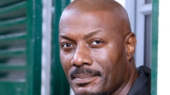 Harry Roselmack n’est pas qu’un homme de télévision, il a d’autres activités professionnelles dans d'autres domaines artistiques
