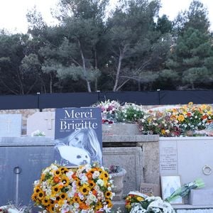 La famille et les amis proches lors de l'inhumation dans l'intimité de Brigitte Bardot dans le caveau familial du cimetière marin de Saint-Tropez, France, le 7 janvier 2026. © Bestimage