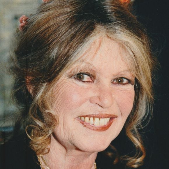 L'héritage de Brigitte Bardot suscite toujours une fascination sans égale.

Brigitte Bardot.

© Bestimage