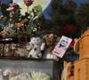 Mais certains visiteurs découvrent à leur arrivée une règle qui aurait probablement déplu à l'ancienne actrice : les chiens sont interdits dans le cimetière.

Les touristes se recueillent en plein été sur la tombe de Brigitte Bardot, le 10 août 2026. 

© Franz Chavaroche / Bestimage