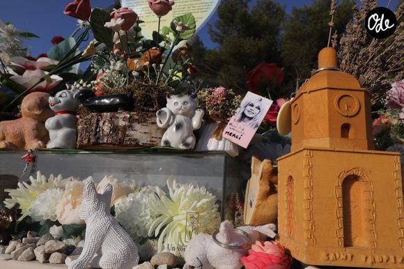 Mais certains visiteurs découvrent à leur arrivée une règle qui aurait probablement déplu à l'ancienne actrice : les chiens sont interdits dans le cimetière.

Les touristes se recueillent en plein été sur la tombe de Brigitte Bardot, le 10 août 2026. 

© Franz Chavaroche / Bestimage