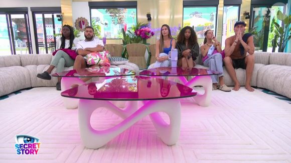 Les candidats de Secret Story ont vécu des émotions fortes tout au long de l'aventure.

Quotidienne de "Secret Story" sur TFX