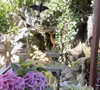 Il s'agit d'un concept-store très personnel installé directement chez lui.

Instagram hautjardin_steevy
