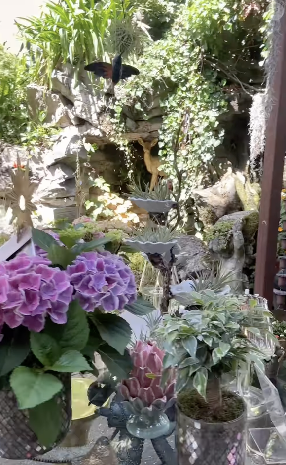 Il s'agit d'un concept-store très personnel installé directement chez lui.

Instagram hautjardin_steevy