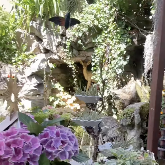 Il s'agit d'un concept-store très personnel installé directement chez lui.

Instagram hautjardin_steevy