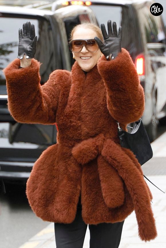 Céline Dion salue ses fans à la sortie de l’hôtel Royal Monceau à Paris, avant de rejoindre La Plenitude Arena de Paris La Défense pour poursuivre sa série de concerts, le 9 octobre 2026. La veille au soir, la star québecoise a trébuché sur scène avant d'oublier quelques paroles de sa chanson, "Pour que tu m'aimes encore" lors du final de son spectacle.
© Christophe Aubert / Bestimage