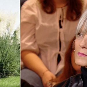 Hélène Mercier-Arnault dans "Quelle Époque" le 4 avril 2026 sur France 2