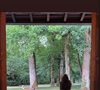 Sur l’une, sa fille Loup, assise de dos devant une fenêtre grande ouverte sur la nature, contemple le parc et son chien Loubo.
Anthony Delon a partagé une photo de sa fille Loup prise à Douchy sur son compte Instagram, le 19 juin 2025.