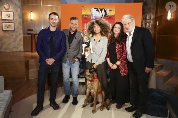 Hugo Clément, Bernard Montiel, Oli et son chien Monda, Maître Olivia Symniacos et Raphaël Mezrahi sur plateau de l'émission "Animalement Vôtre" présentée par B.Montiel et diffusée le 1er février 2026 sur France 3, à Paris, France, le 3 décembre 2025. © Jack Tribeca/Bestimage