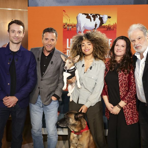 Hugo Clément, Bernard Montiel, Oli et son chien Monda, Maître Olivia Symniacos et Raphaël Mezrahi sur plateau de l'émission "Animalement Vôtre" présentée par B.Montiel et diffusée le 1er février 2026 sur France 3, à Paris, France, le 3 décembre 2025. © Jack Tribeca/Bestimage