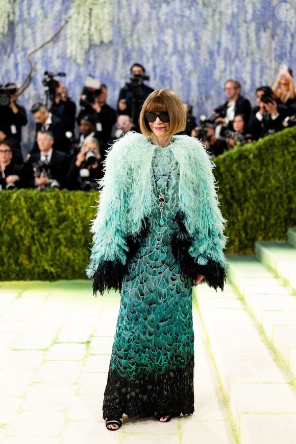 De quoi rendre fière la papesse de la mode à l'origine de l'évènement annuel, Anna Wintour ! 

Anna Wintour au Met Gala 2026, célébrant "Costume Art" au Metropolitan Museum of Art à New York.

©Bestimage