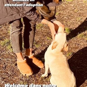 Sur son compte Instagram, Laure Manaudou a annoncé qu’elle venait d’adopter une chienne à la SPA