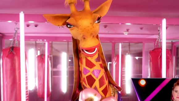 La Girafe (Mask Singer 7) : Les enquêteurs auront ramé jusqu'au bout, on sait enfin qui se cache sous ce costume