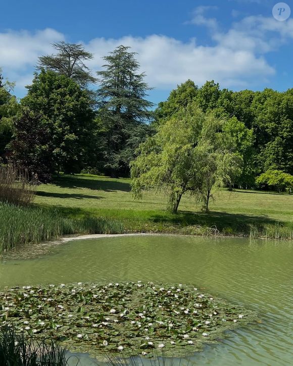 Image rare du domaine de Douchy dans le Loiret, propriété d'Alain Delon
©Instagram/therealanthonydelon
