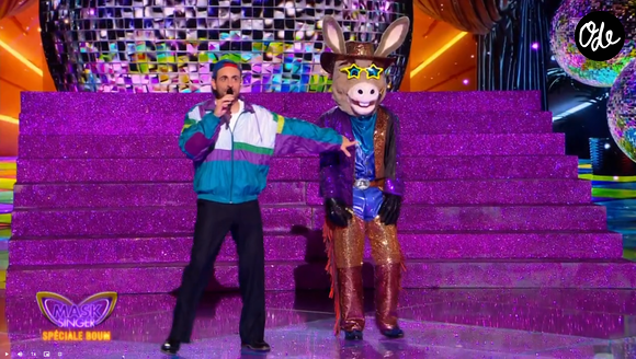 L'Ane dans Mask Singer 9 - capture d'écran TF1