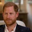 Après avoir eu recours à un embryon congelé, une ex du prince Harry est devenue maman pour la deuxième fois
