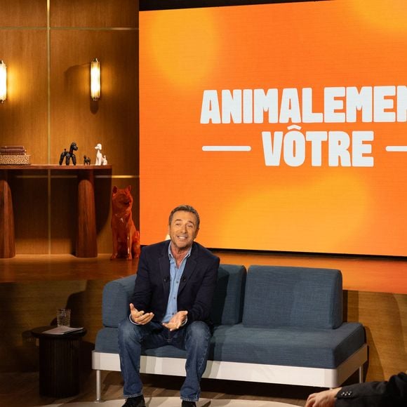 Exclusif - Bernard Montiel, Raphaël Mezrah, Oli. avec Chantal Ladesou et Eric Baratay invités, et Olivia la juriste sur plateau de l'émission "Animalement Vôtre" présentée par Bernard Montiel et diffusée le 8 février 2026 sur France 3, à Paris, France, le 12 janvier 2026. © Julien Sarkissian/Bestimage