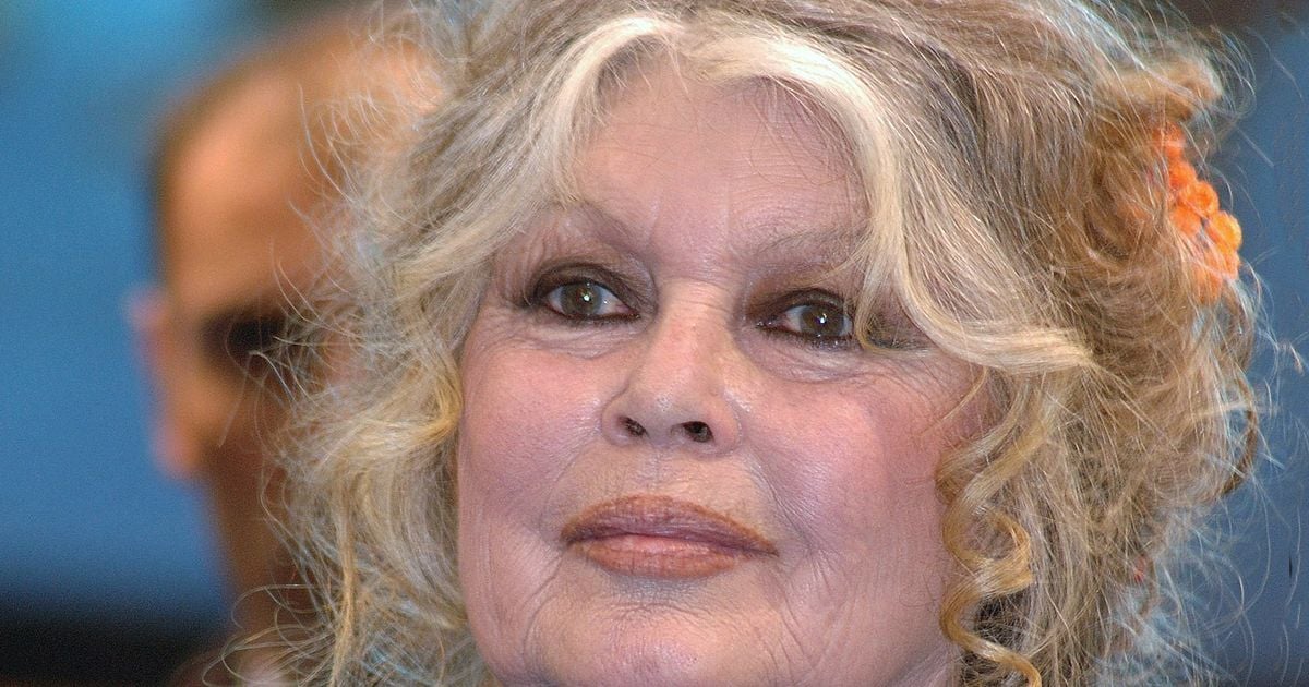 France 3 annule sa soirée en hommage à Brigitte Bardot "dans l'intérêt des téléspectateurs", la chaîne s'explique