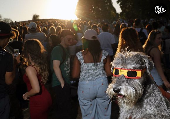 La foule observe l'éclipse solaire à Londres, en Angleterre, le 12 août 2026.  

© Bestimage