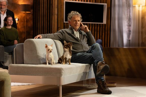 Bernard Montiel, Raphaël Mezrah, Oli. avec Charles Berling et Charles Edouard Fusari invités, Olivia Juriste et Sylvain Vétérinaire sur plateau de l'émission "Animalement Vôtre" présentée par Bernard Montiel à Paris, France, le 12 janvier 2026. © Julien Sarkissian/Bestimage