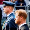 William, Harry et l’héritage de Diana : Pourquoi les fils de la princesse ont été évincés d’un patrimoine de 100 millions de livres ?