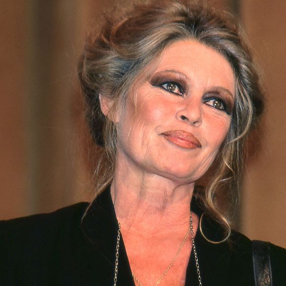 Archives - Brigitte Bardot est morte à 91 ans @JLPPA / Bestimage