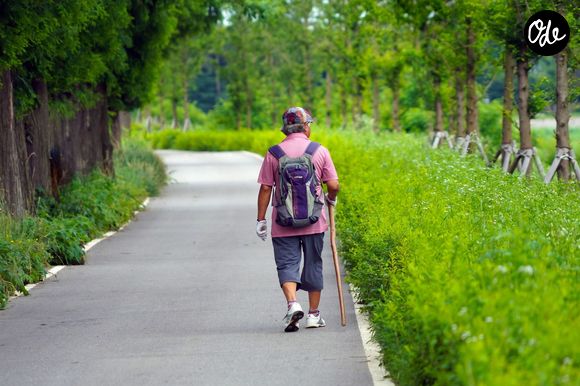 Pour préserver son autonomie, il conseille aussi d’associer la marche à deux séances de renforcement et à un travail d’équilibre par semaine.

Image Pexels