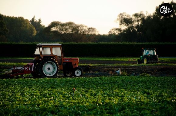 Samuel Darchy, ancien footballeur, s'est reconverti dans l'agriculture.