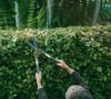 Pour Dan Buettner, la marche et le jardinage offrent de nombreux bienfaits pour la santé et la longévité.

Pexels