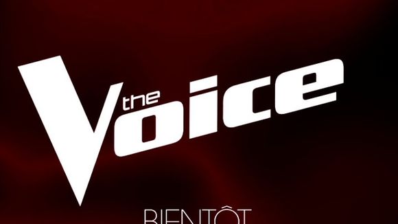 The Voice recrute un nouveau juré : un vent de modernité souffle sur l'émission avec l'arrivée du 2e artiste français le plus écouté dans le monde en 2024