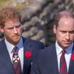 William et Harry : Leur cousine âgée de 20 ans a perdu la vie, les premières circonstances font surface