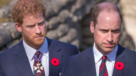 William et Harry : Leur cousine âgée de 20 ans a perdu la vie, les premières circonstances font surface